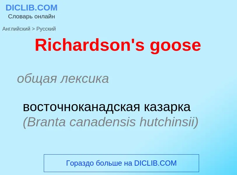 ¿Cómo se dice Richardson's goose en Ruso? Traducción de &#39Richardson's goose&#39 al Ruso