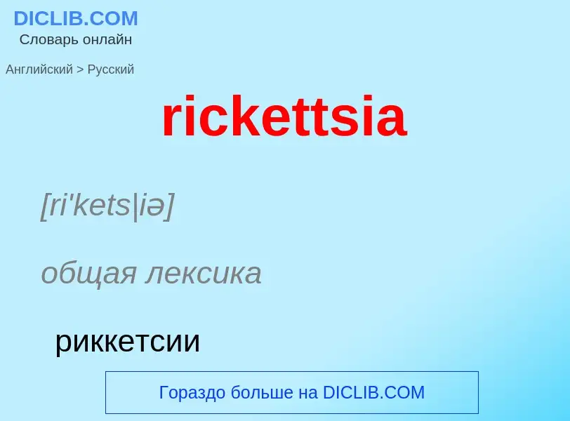 ¿Cómo se dice rickettsia en Ruso? Traducción de &#39rickettsia&#39 al Ruso