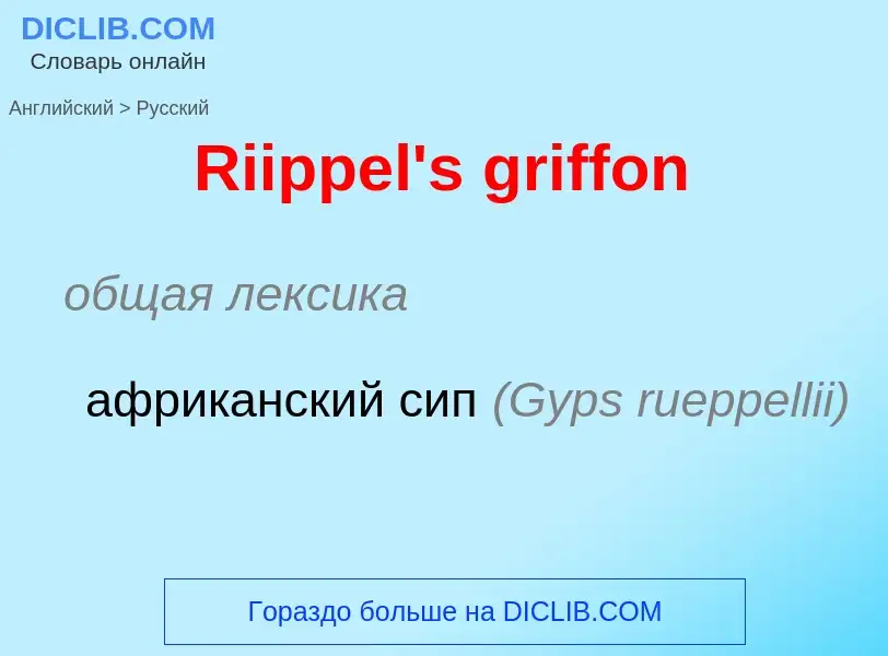 ¿Cómo se dice Riippel's griffon en Ruso? Traducción de &#39Riippel's griffon&#39 al Ruso