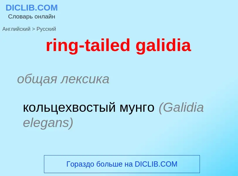 Μετάφραση του &#39ring-tailed galidia&#39 σε Ρωσικά