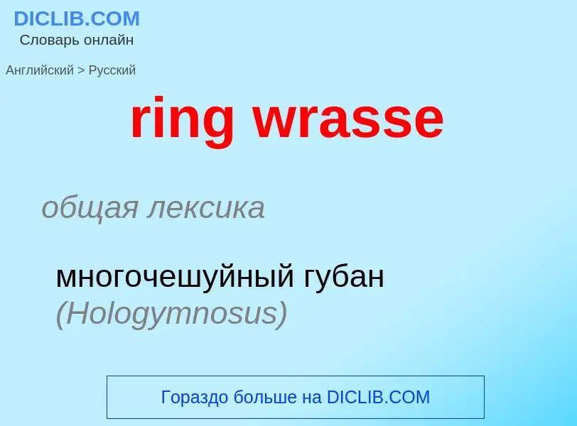 What is the الروسية for ring wrasse? Translation of &#39ring wrasse&#39 to الروسية