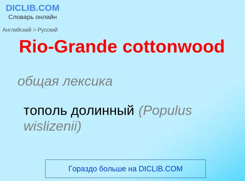 ¿Cómo se dice Rio-Grande cottonwood en Ruso? Traducción de &#39Rio-Grande cottonwood&#39 al Ruso