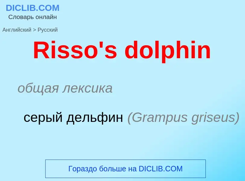 ¿Cómo se dice Risso's dolphin en Ruso? Traducción de &#39Risso's dolphin&#39 al Ruso