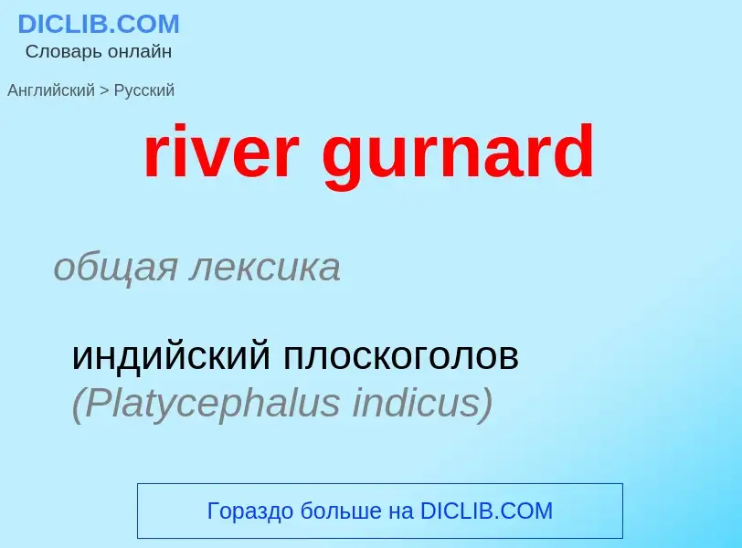 What is the Russian for river gurnard? Translation of &#39river gurnard&#39 to Russian