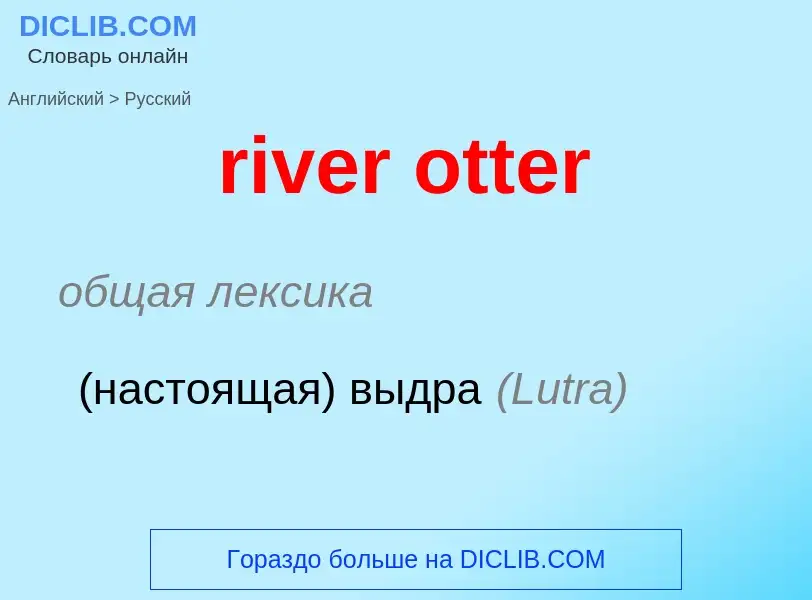 ¿Cómo se dice river otter en Ruso? Traducción de &#39river otter&#39 al Ruso