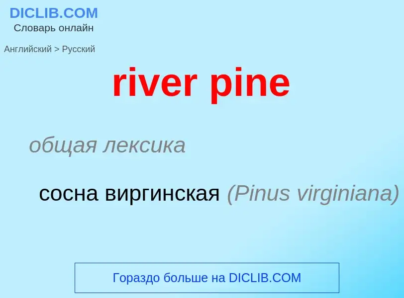 Übersetzung von &#39river pine&#39 in Russisch