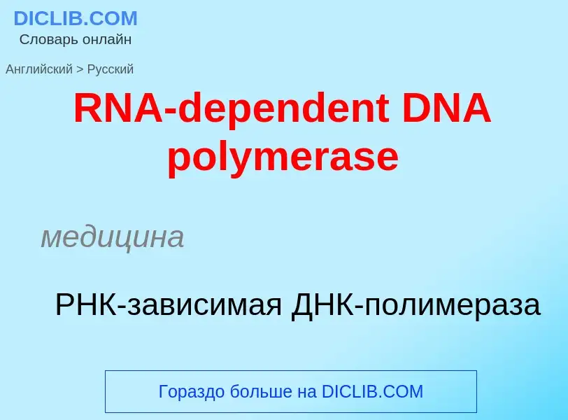 Как переводится RNA-dependent DNA polymerase на Русский язык