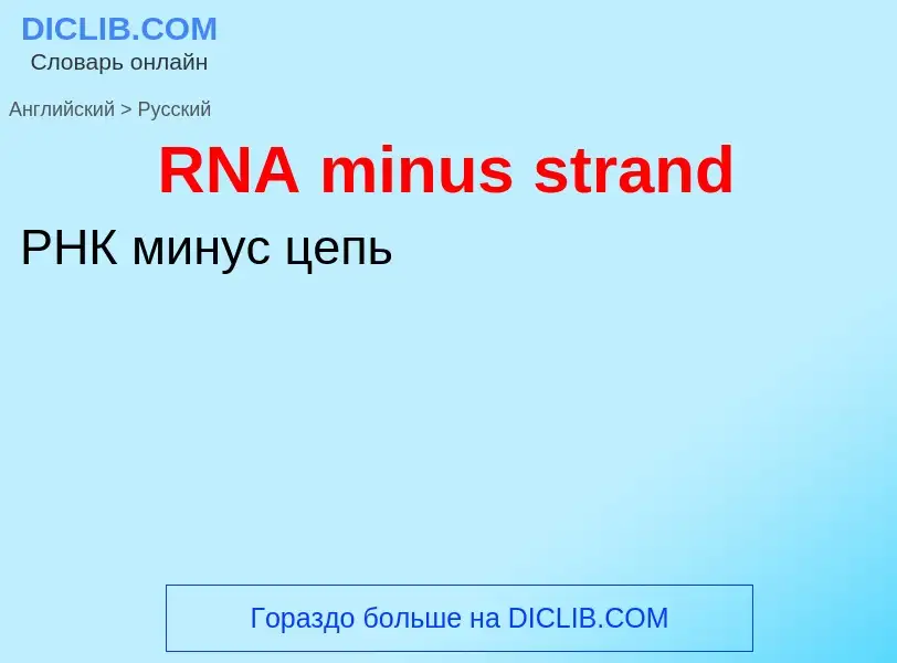 Vertaling van &#39RNA minus strand&#39 naar Russisch