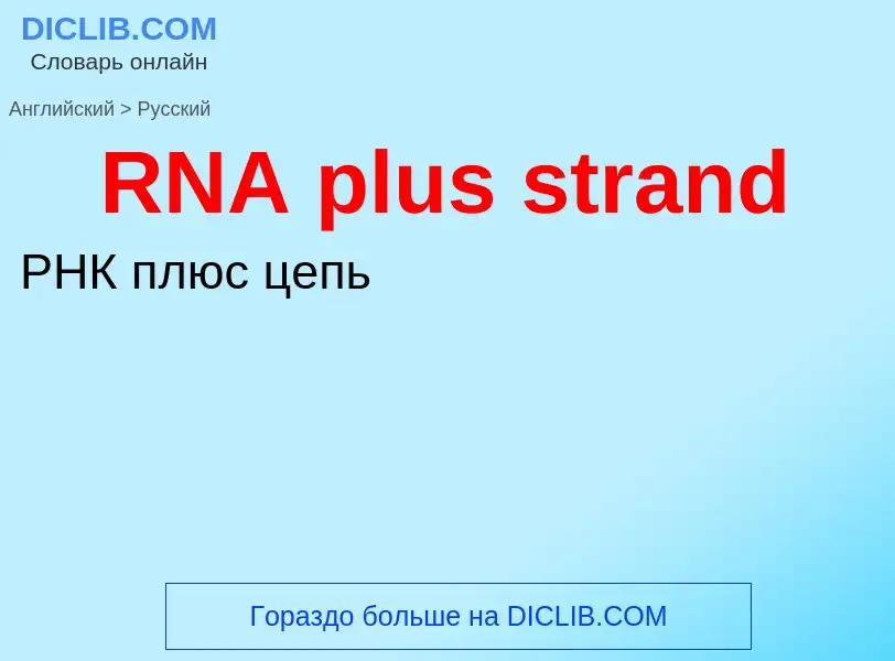 Μετάφραση του &#39RNA plus strand&#39 σε Ρωσικά