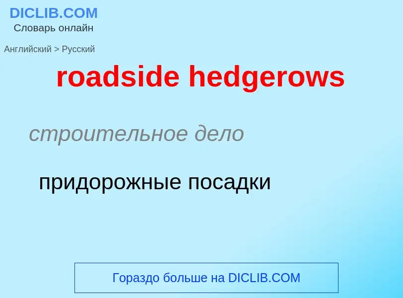 ¿Cómo se dice roadside hedgerows en Ruso? Traducción de &#39roadside hedgerows&#39 al Ruso