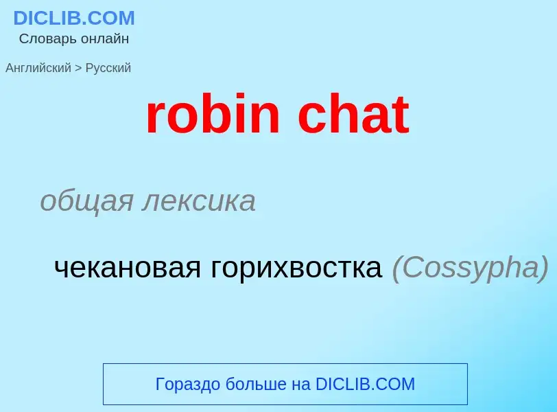 Vertaling van &#39robin chat&#39 naar Russisch