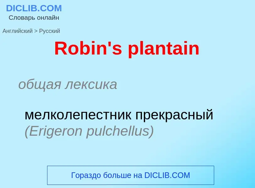 ¿Cómo se dice Robin's plantain en Ruso? Traducción de &#39Robin's plantain&#39 al Ruso