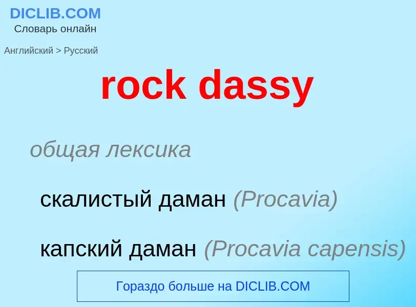 Как переводится rock dassy на Русский язык