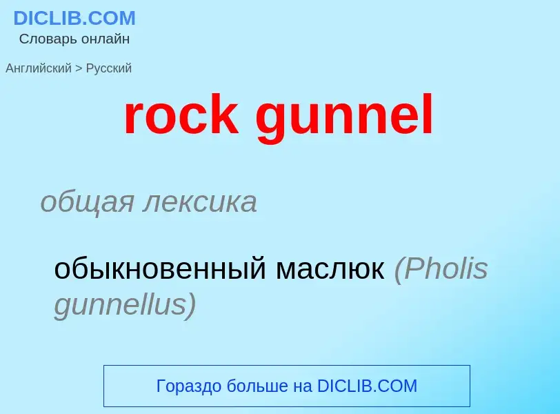 Как переводится rock gunnel на Русский язык