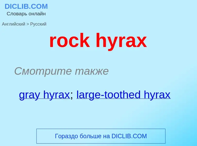 Как переводится rock hyrax на Русский язык