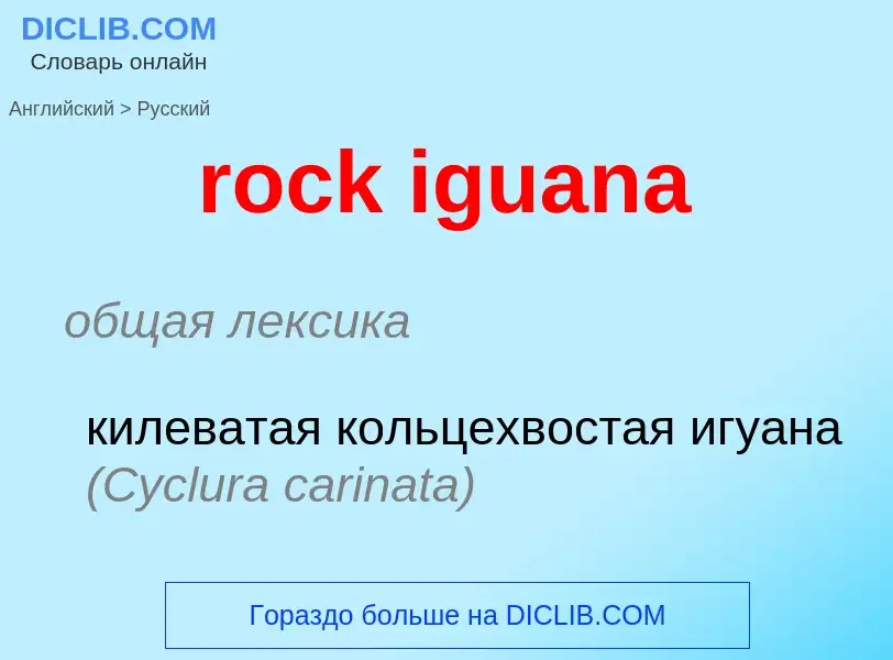 Как переводится rock iguana на Русский язык