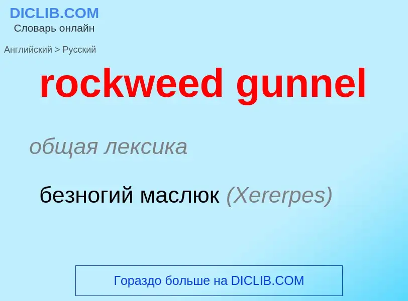 Как переводится rockweed gunnel на Русский язык