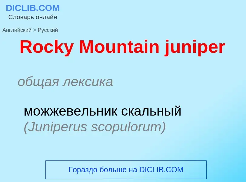 Как переводится Rocky Mountain juniper на Русский язык