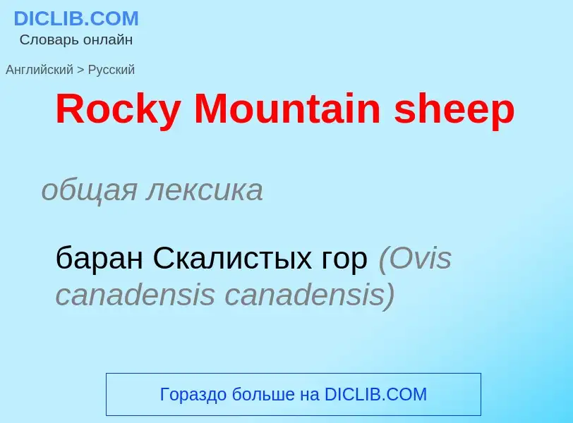 ¿Cómo se dice Rocky Mountain sheep en Ruso? Traducción de &#39Rocky Mountain sheep&#39 al Ruso