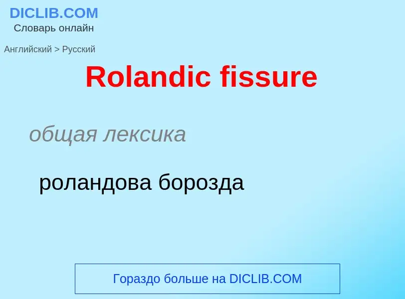 ¿Cómo se dice Rolandic fissure en Ruso? Traducción de &#39Rolandic fissure&#39 al Ruso