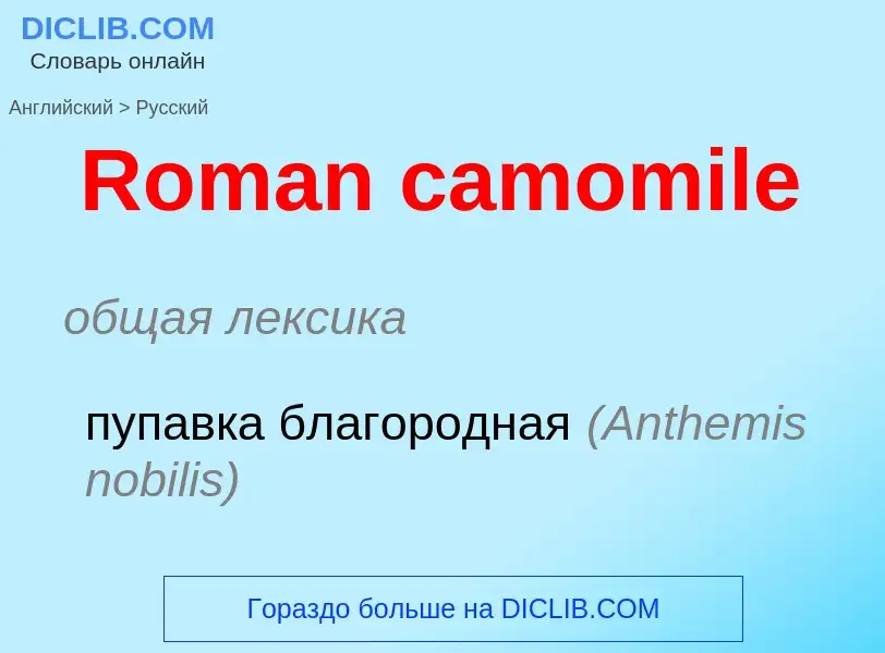 Vertaling van &#39Roman camomile&#39 naar Russisch