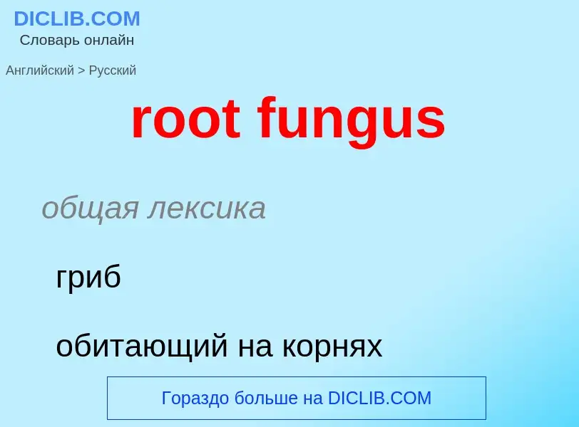 Μετάφραση του &#39root fungus&#39 σε Ρωσικά