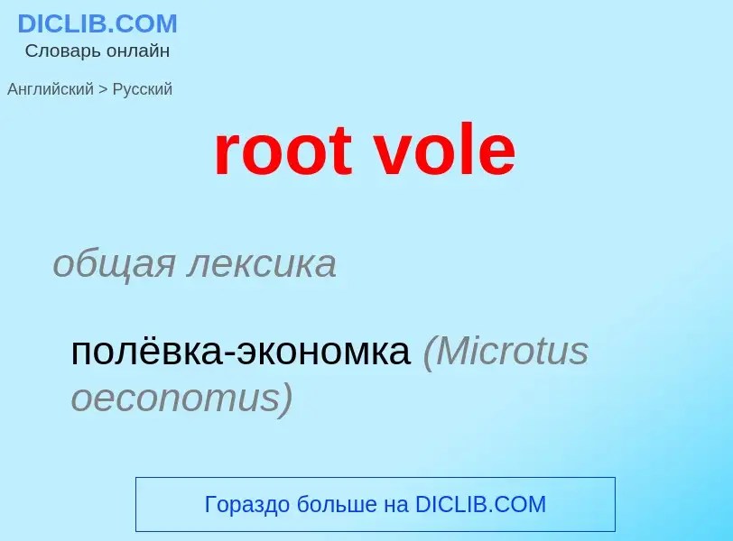 ¿Cómo se dice root vole en Ruso? Traducción de &#39root vole&#39 al Ruso