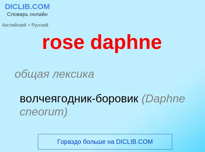 Vertaling van &#39rose daphne&#39 naar Russisch