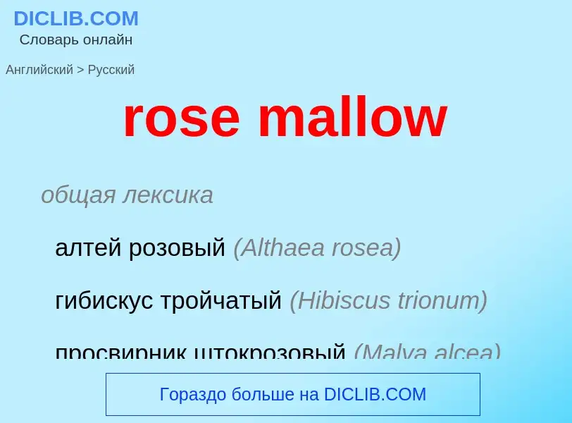 Μετάφραση του &#39rose mallow&#39 σε Ρωσικά