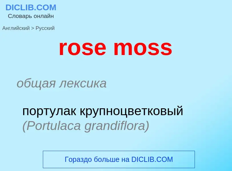 Как переводится rose moss на Русский язык