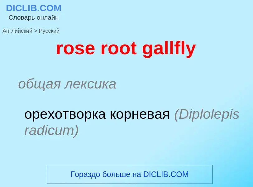 What is the Russian for rose root gallfly? Translation of &#39rose root gallfly&#39 to Russian