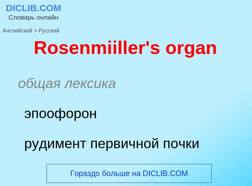 ¿Cómo se dice Rosenmiiller's organ en Ruso? Traducción de &#39Rosenmiiller's organ&#39 al Ruso