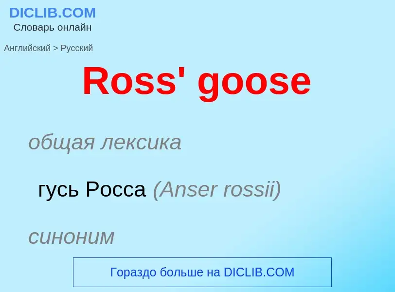 ¿Cómo se dice Ross' goose en Ruso? Traducción de &#39Ross' goose&#39 al Ruso