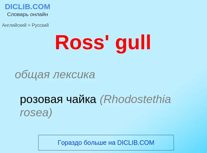 ¿Cómo se dice Ross' gull en Ruso? Traducción de &#39Ross' gull&#39 al Ruso