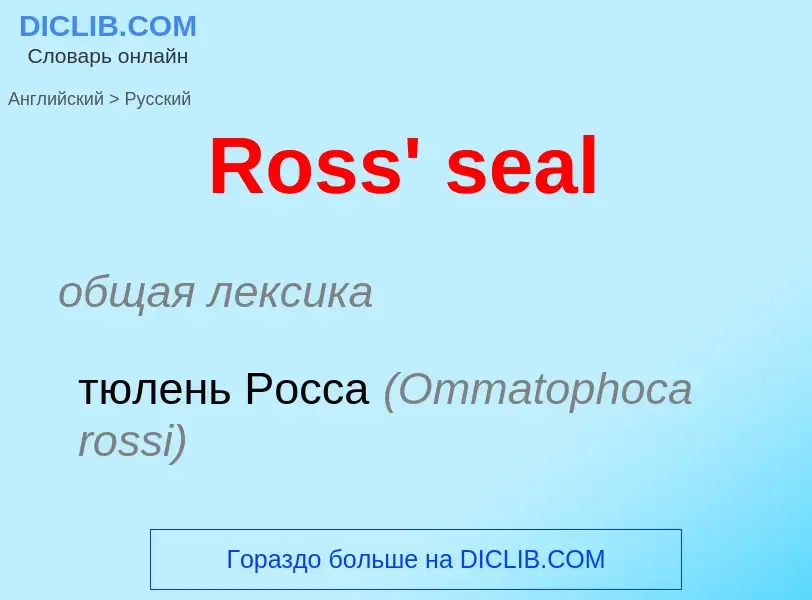 ¿Cómo se dice Ross' seal en Ruso? Traducción de &#39Ross' seal&#39 al Ruso