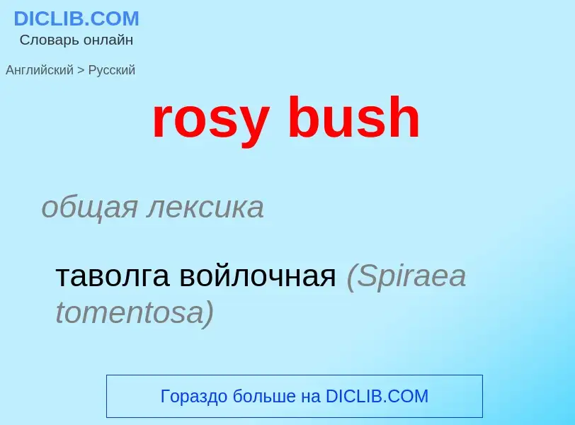 Как переводится rosy bush на Русский язык