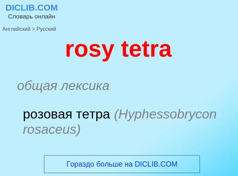 Как переводится rosy tetra на Русский язык