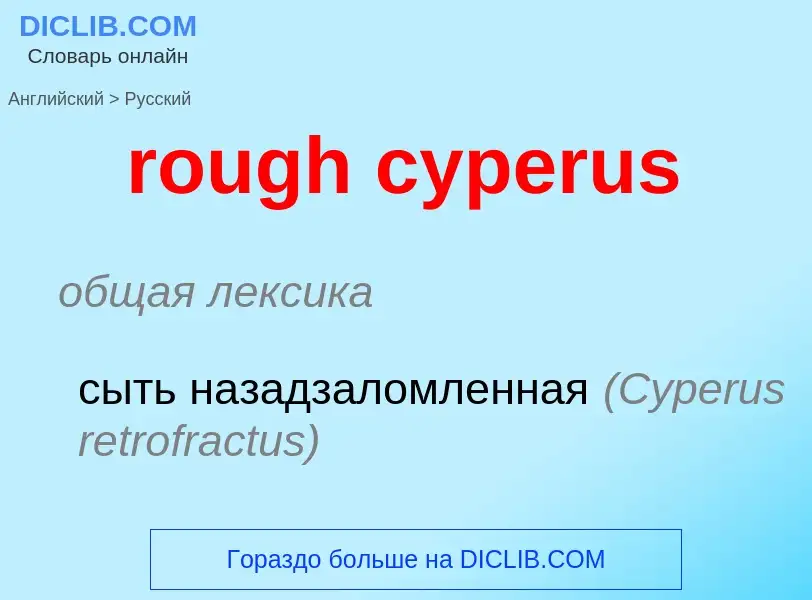 Как переводится rough cyperus на Русский язык