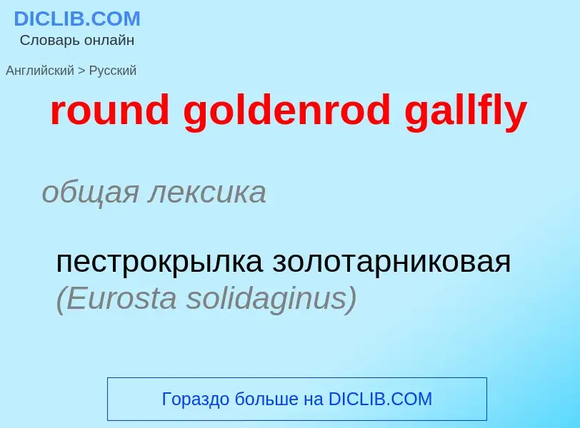 Traduzione di &#39round goldenrod gallfly&#39 in Russo