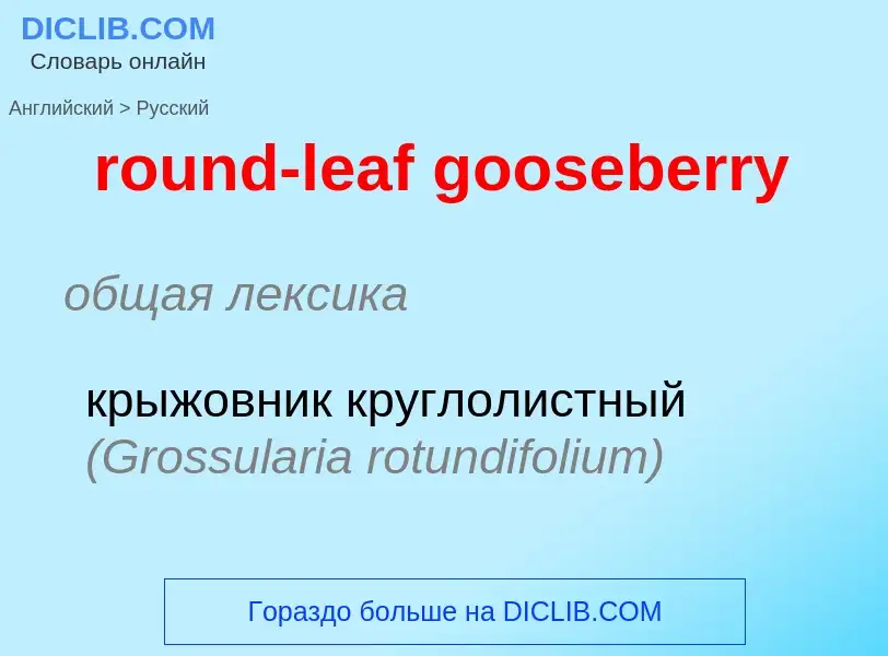 Как переводится round-leaf gooseberry на Русский язык