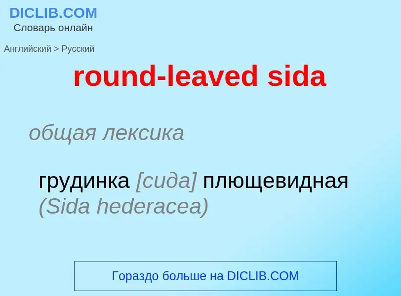 ¿Cómo se dice round-leaved sida en Ruso? Traducción de &#39round-leaved sida&#39 al Ruso