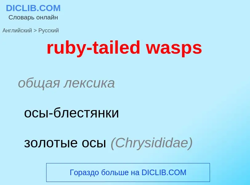 What is the Russian for ruby-tailed wasps? Translation of &#39ruby-tailed wasps&#39 to Russian