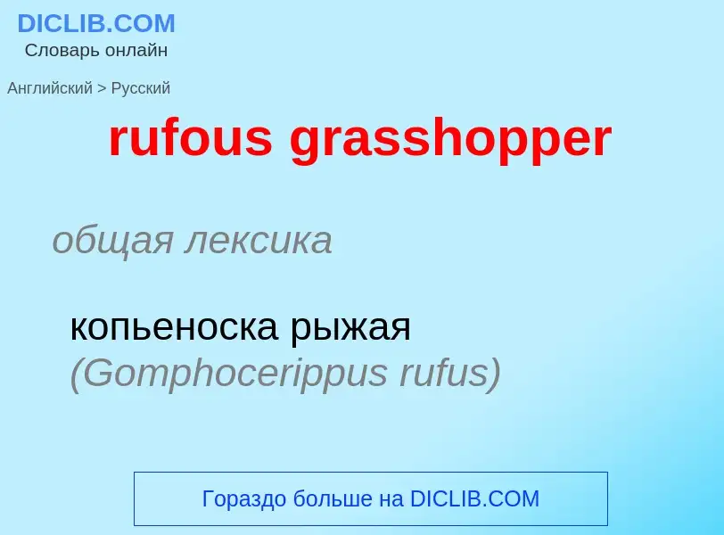 Как переводится rufous grasshopper на Русский язык