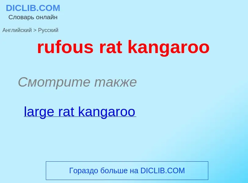 Как переводится rufous rat kangaroo на Русский язык