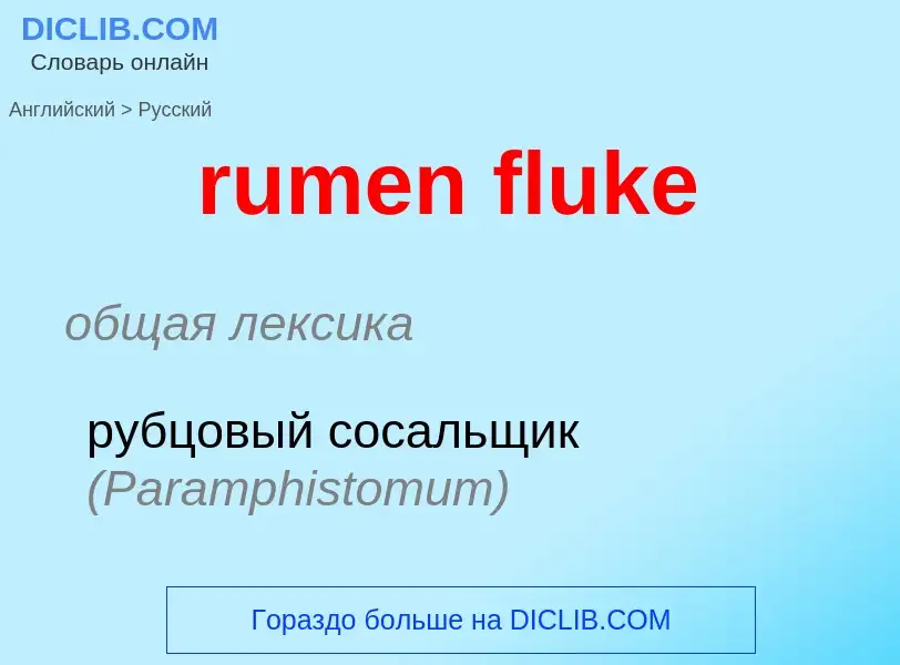 Traduzione di &#39rumen fluke&#39 in Russo