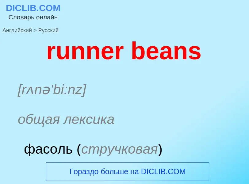 Как переводится runner beans на Русский язык