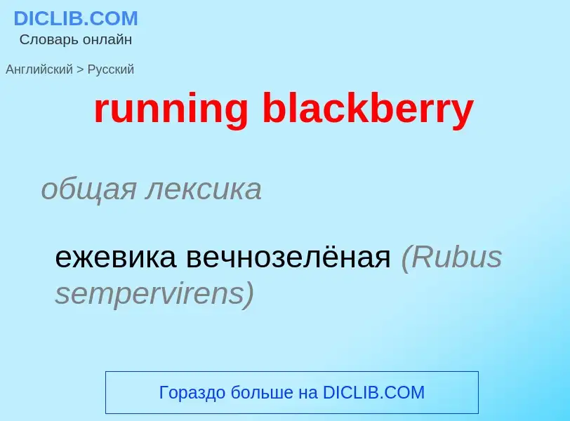 Как переводится running blackberry на Русский язык