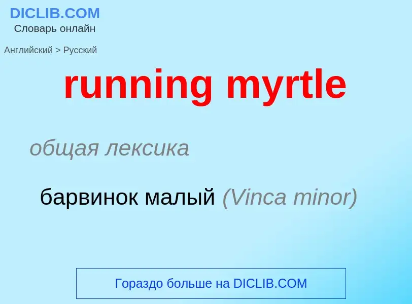 Μετάφραση του &#39running myrtle&#39 σε Ρωσικά