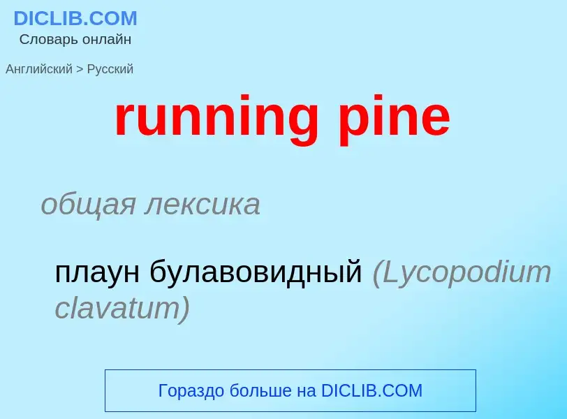 Μετάφραση του &#39running pine&#39 σε Ρωσικά