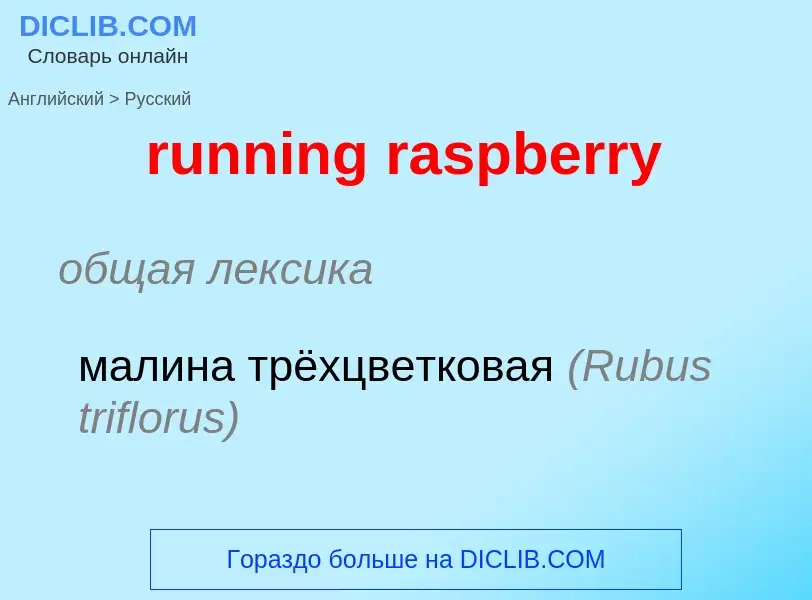 Как переводится running raspberry на Русский язык